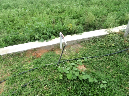 2) Li Id 232 -Water Supply to Trees.JPG